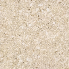 ESTR100(아이보리)