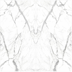 스타투아리오 레오나르도-12T